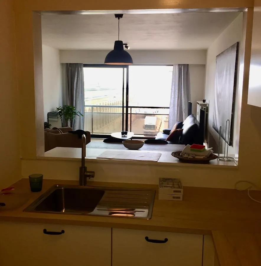 Rustig Appartement Met Zeezicht Dicht Bij Het Centrum Ostend Apartment